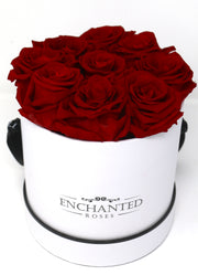 Small Classic White Round Box - Red Roses