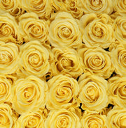 Large Classic White Square Box - Yellow Roses