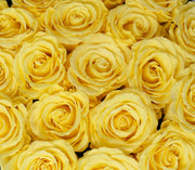 Medium Classic Black Round Box - Yellow Roses