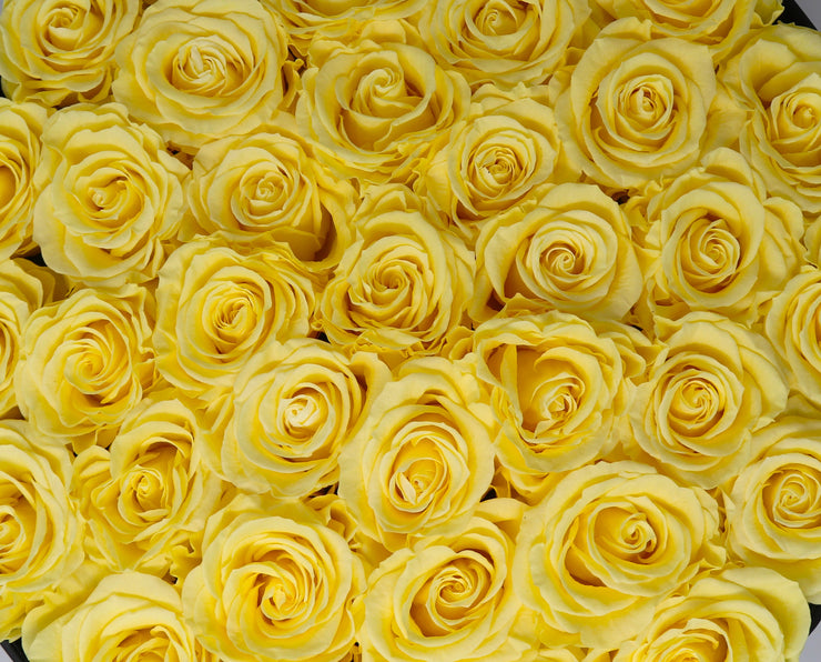 Large Classic White Round Box - Yellow Roses