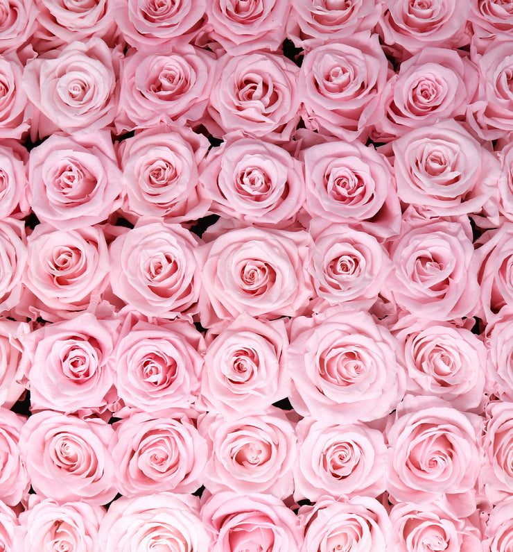 Large Classic Black Square Box - Sweet Pink Roses