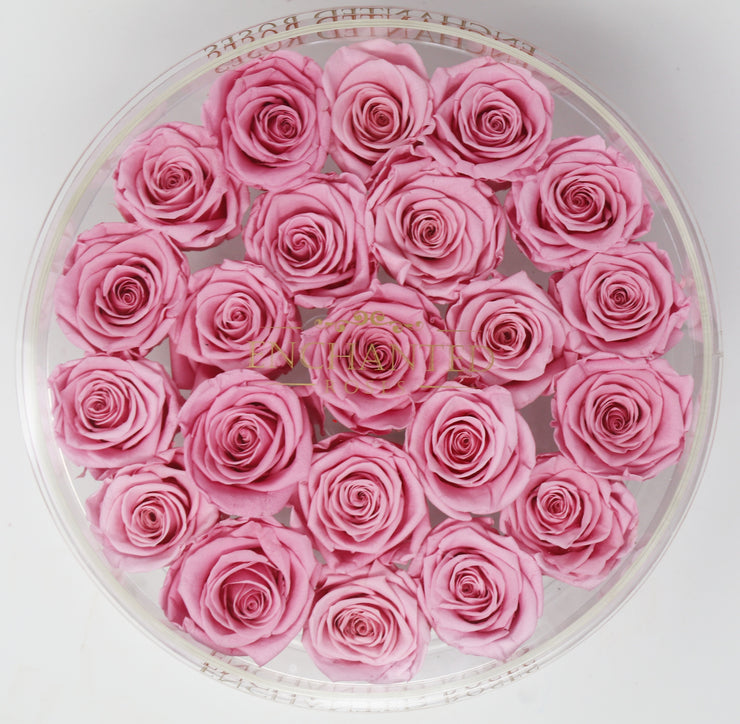 Enchanted Rose Collection - Sakura Pink Roses