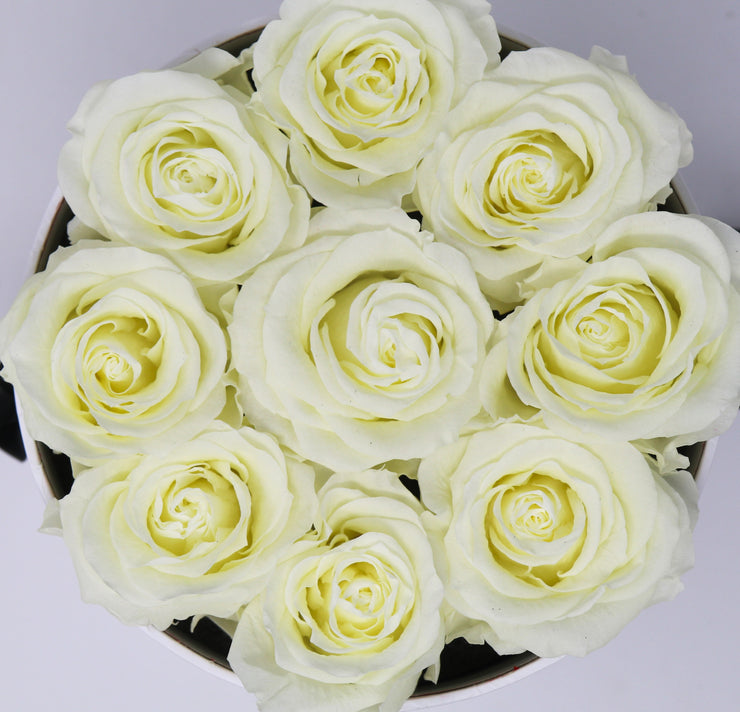 Small Classic White Round Box - White Roses