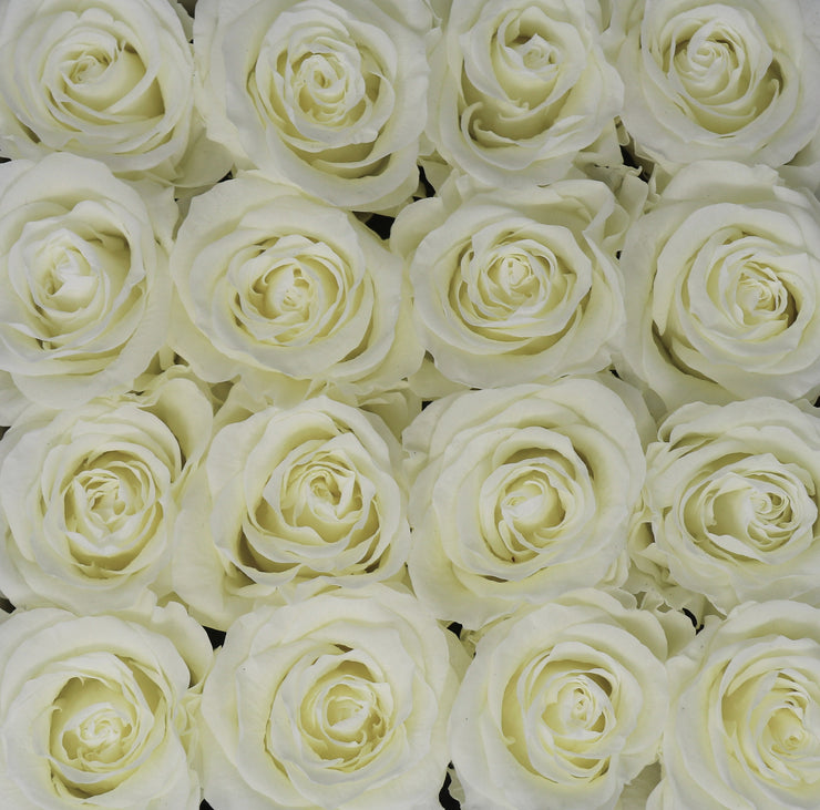 Medium Classic White Round Box - White Roses