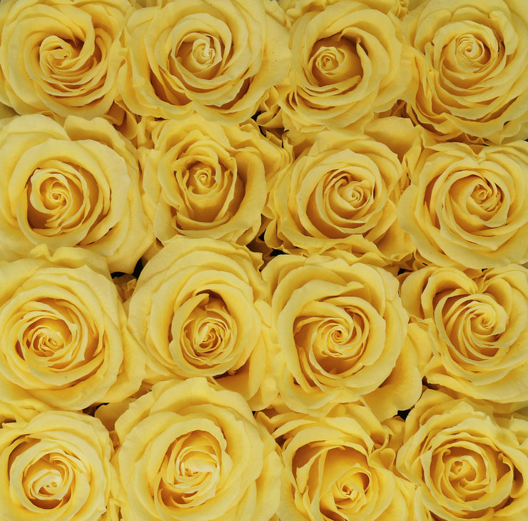 Small Classic White Square Box - Yellow Roses