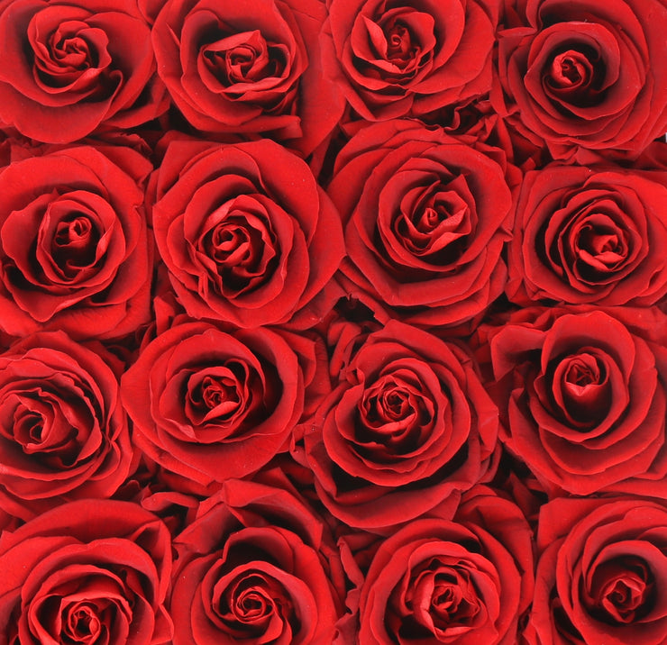 Medium Classic Black Square Box - Red Roses
