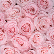 Medium Classic Black Round Box - Sweet Pink Roses