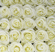 Medium Classic Black Square Box - White Roses