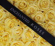 Large Classic White Round Box - Yellow Roses