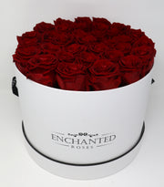 Large Classic White Round Box - Red Roses