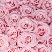 Medium Classic White Round Box - Sweet Pink Roses