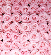 Large Classic Black Square Box - Sweet Pink Roses