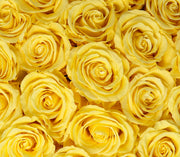 Medium Classic White Round Box - Yellow Roses