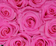 Small Classic White Round Box - Bright Pink Roses