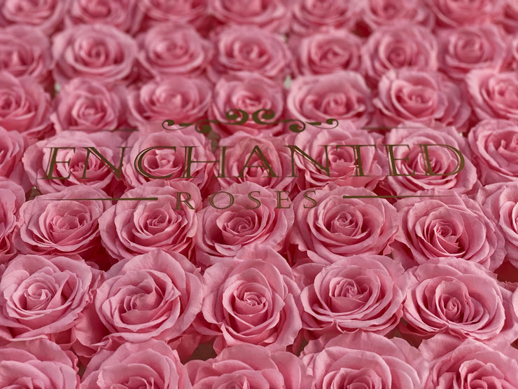 Love Story Luxury Collection - Saukra Pink