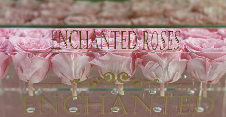 Romance Luxury Collection - Sakura Pink