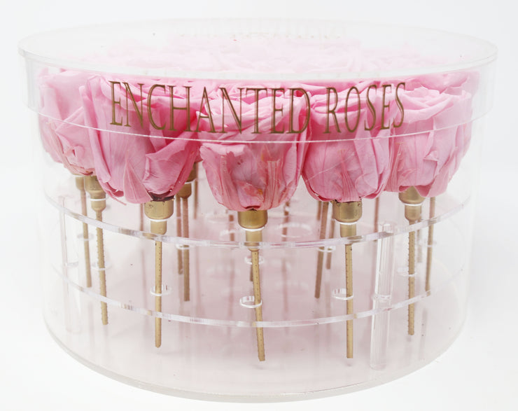 Enchanted Rose Collection - Sakura Pink Roses